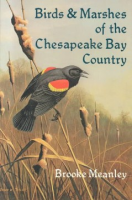 Birds_and_marshes_of_the_Chesapeake_Bay_country