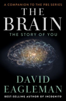 The_brain