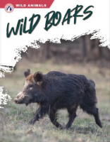 Wild_boars