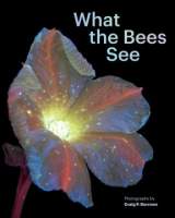 What_the_bees_see