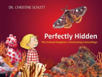 Perfectly_hidden