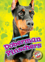 Doberman_pinschers