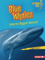 Blue_whales