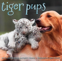 Tiger_pups