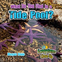 What_do_you_find_in_a_tide_pool_