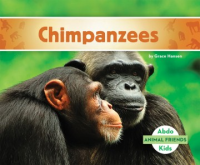 Chimpanzees by Hansen, Grace