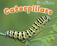 Caterpillars