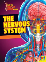 Nervous_system