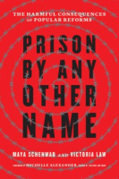 Prison_by_any_other_name