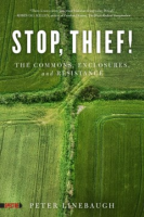 Stop__thief_