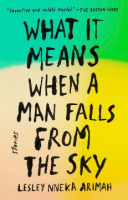 What_it_means_when_a_man_falls_from_the_sky