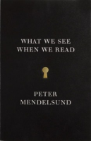 What_we_see_when_we_read