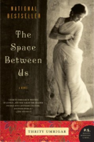 The_space_between_us