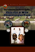 Care_for_a_wild_Chincoteague_pony