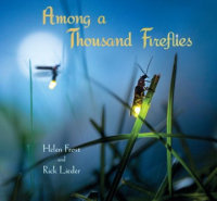 Among_a_thousand_fireflies
