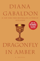 Dragonfly_in_amber