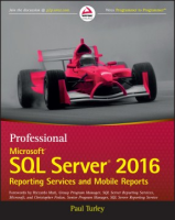 Professional_Microsoft_SQL_server_2016_reporting_services_and_mobile_reports