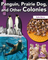 Penguin__prairie_dog__and_other_colonies