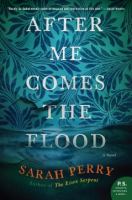 After_me_comes_the_flood