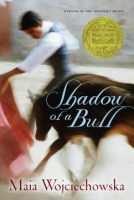 Shadow_of_a_bull