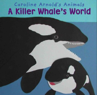 A_killer_whale_s_world