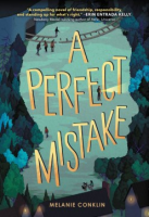 A_perfect_mistake