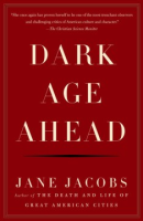 Dark_age_ahead