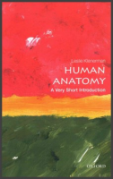 Human_anatomy