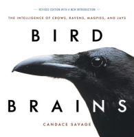 Bird_brains