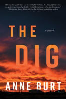 The_dig