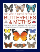 The_world_encyclopedia_of_butterflies___moths