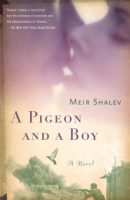 A_pigeon_and_a_boy