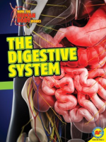 Digestive_system