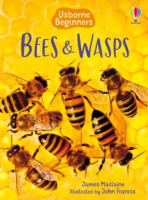 Bees_and_wasps