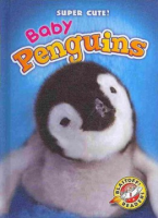 Baby_penguins