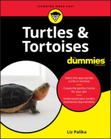 Turtles_and_tortoises