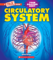 Circulatory_system