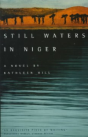 Still_waters_in_Niger