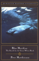 Blue_meridian