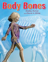 Body_bones