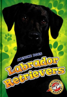 Labrador_retrievers