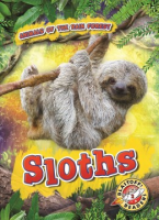 Sloths