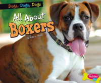 All_about_boxers