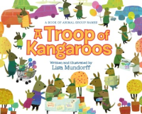 A_troop_of_kangaroos