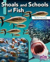 Shoals_and_schools_of_fish