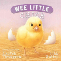 Wee_little_chick