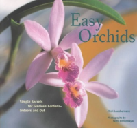 Easy_orchids