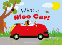 What_is_a_nice_car_