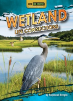 Wetland_life_connections