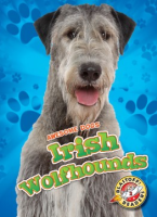 Irish_wolfhounds